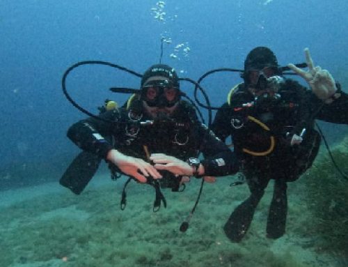 CORSO DI SUB – brevetto di 1° grado FIPSAS